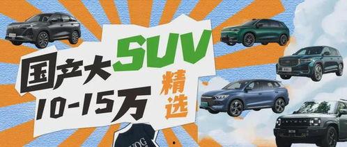 精选国产,精选国产生态的崛起与未来展望